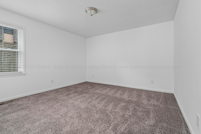 empty room with carpet floors and a textured ceiling