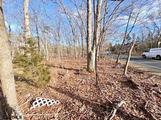 51 E Jimmie Leeds Rd, Galloway Township NJ, 08205 land for sale