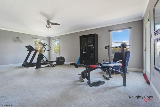 workout area featuring light carpet, ceiling fan, and ornamental molding