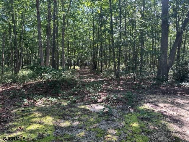 126 S New York Rd, Galloway Township NJ, 08205 land for sale