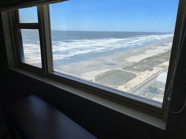 details featuring a beach view and a water view