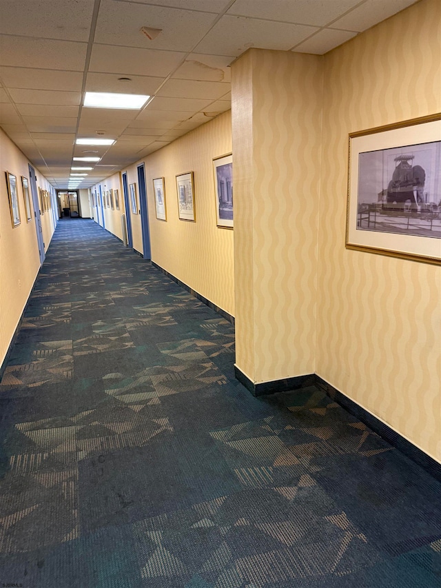 hallway with dark carpet and a drop ceiling