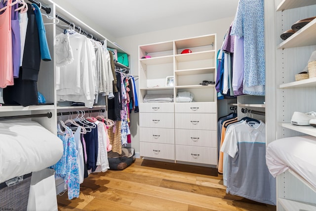 spacious closet featuring light hardwood / wood-style floors