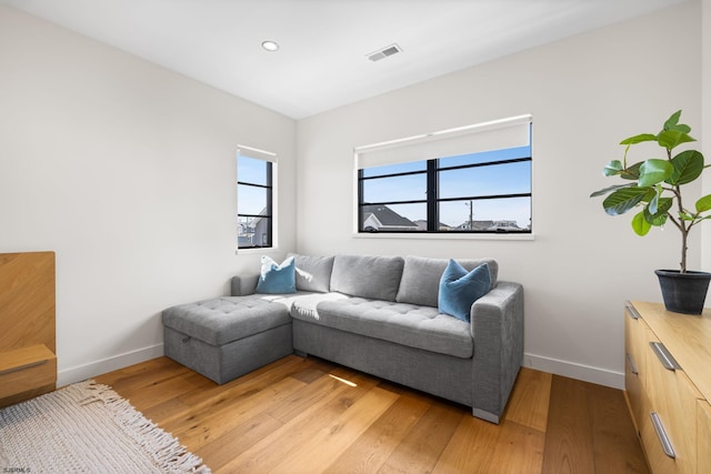 living room with light wood-type flooring