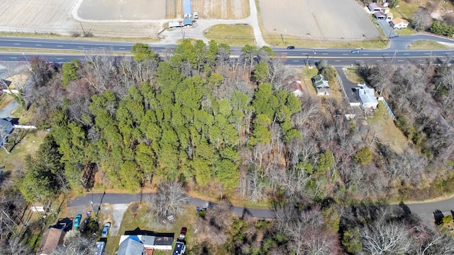 view of bird's eye view