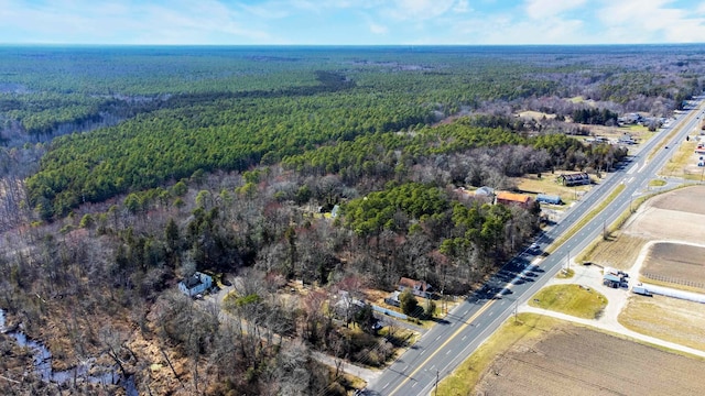 view of birds eye view of property