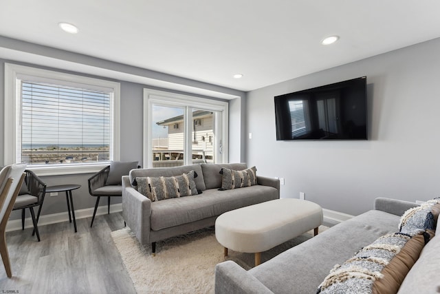 living room featuring light hardwood / wood-style floors and a healthy amount of sunlight