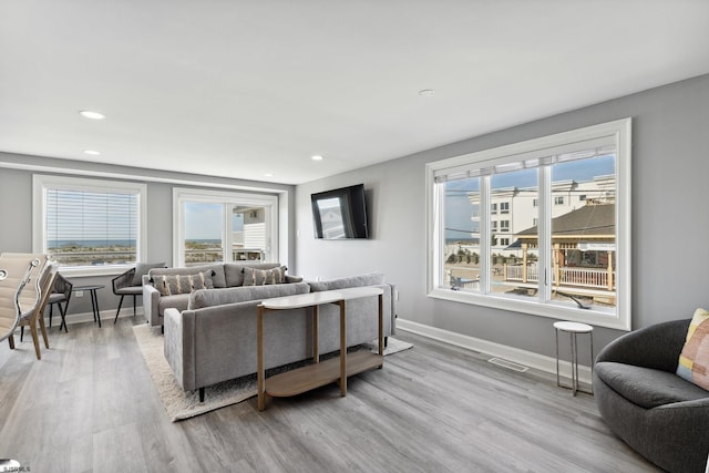 living room featuring light wood-type flooring and a wealth of natural light