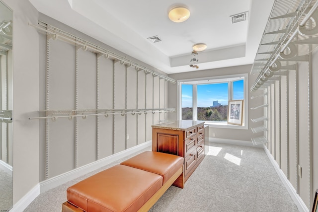 walk in closet with light carpet and a raised ceiling