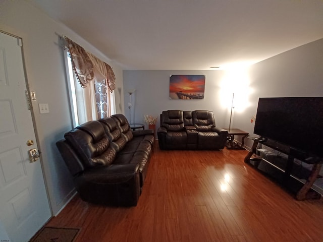 living room with wood-type flooring