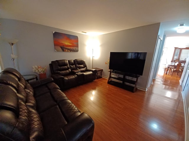 living room featuring hardwood / wood-style floors