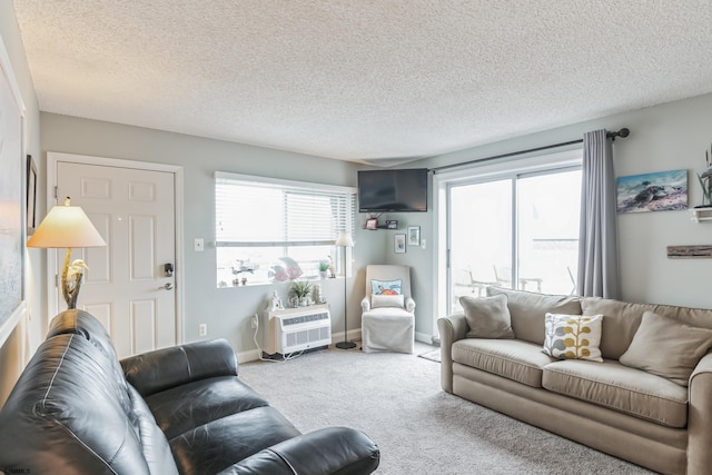 carpeted living room with a textured ceiling