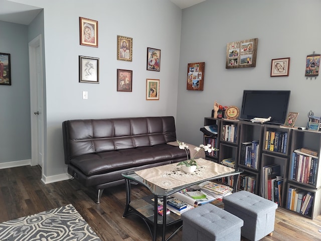 living room featuring hardwood / wood-style flooring