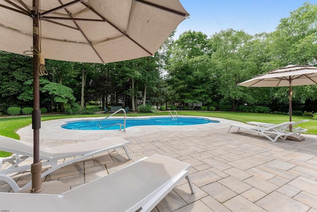 view of pool featuring a yard and a patio