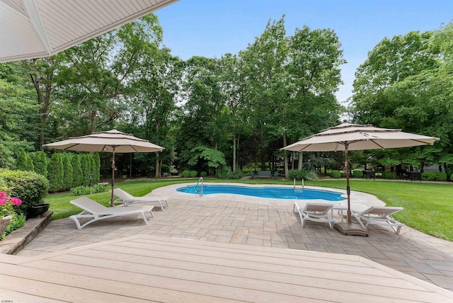 view of swimming pool featuring a lawn and a patio