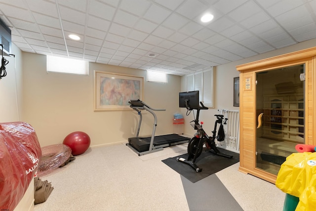 workout area with carpet