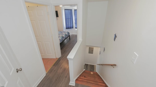 staircase with hardwood / wood-style floors