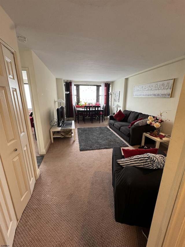 living room featuring carpet floors