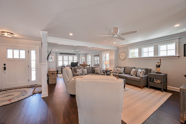 living room with dark hardwood / wood-style floors, ceiling fan, and ornamental molding