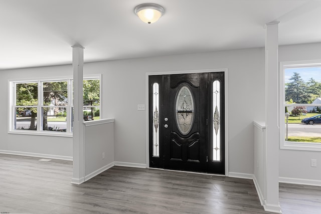 entryway with hardwood / wood-style flooring and a wealth of natural light