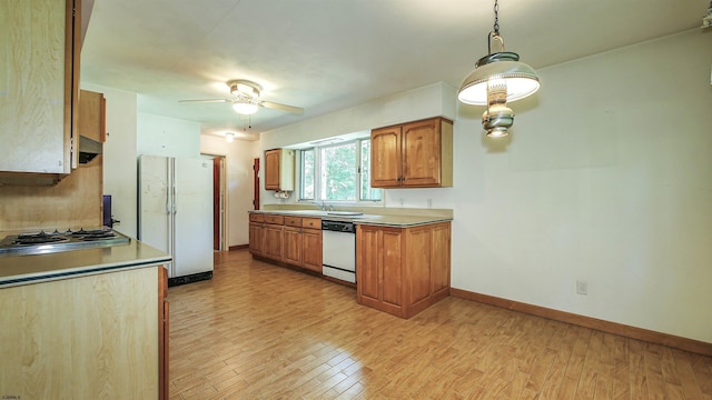 kitchen with white appliances, sink, hanging light fixtures, light hardwood / wood-style flooring, and ceiling fan