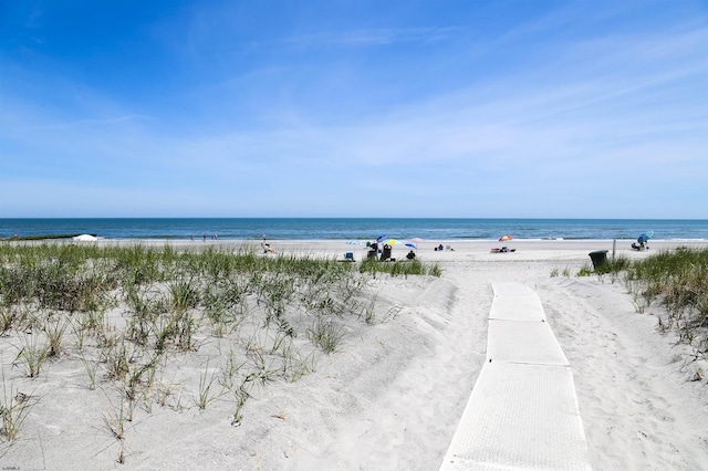 water view with a view of the beach