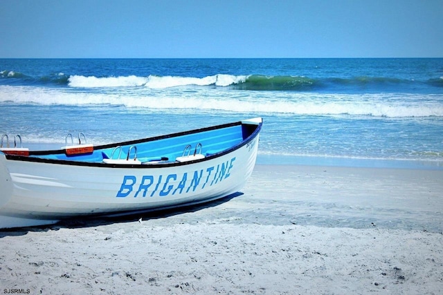 water view featuring a beach view