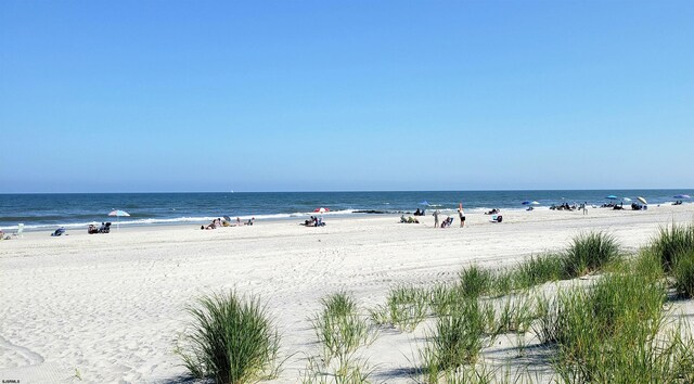 water view featuring a beach view