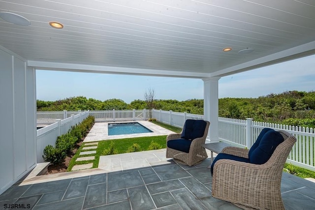 view of swimming pool with a patio area