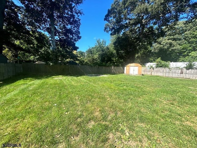 view of yard featuring a shed