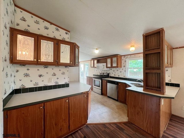 kitchen featuring sink, plenty of natural light, dark hardwood / wood-style flooring, and stainless steel appliances