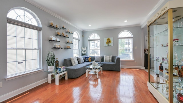 living room featuring ornamental molding and hardwood / wood-style floors