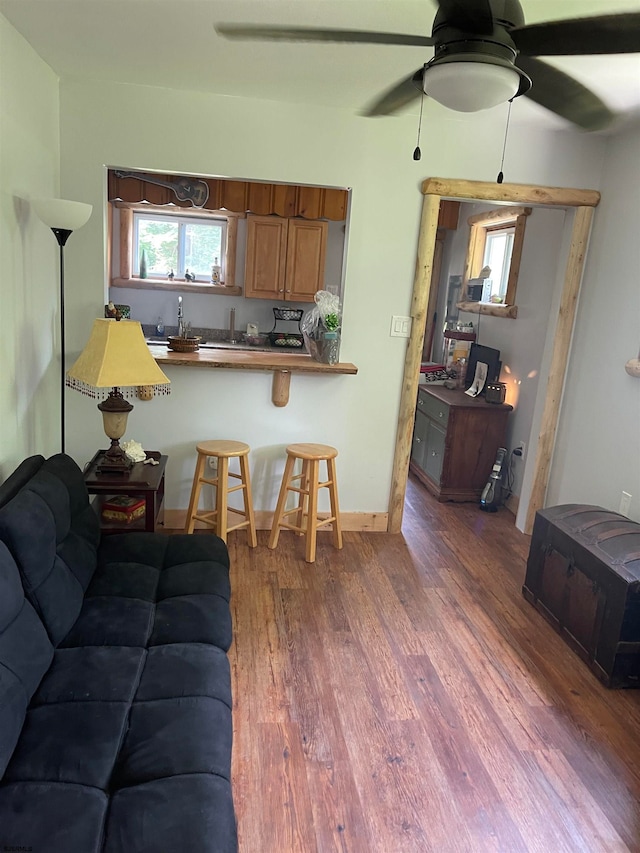 living room with ceiling fan and dark hardwood / wood-style floors