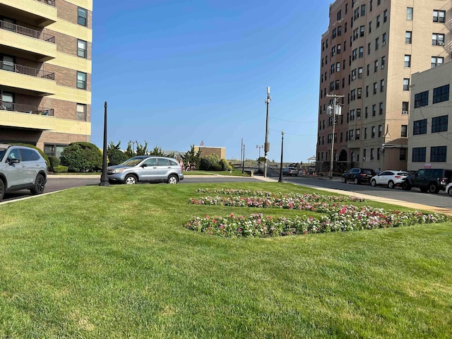 view of community featuring a yard