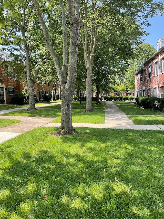 view of property's community with a yard