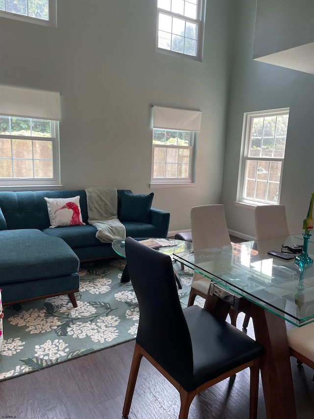 dining area featuring a wealth of natural light, hardwood / wood-style flooring, and a high ceiling