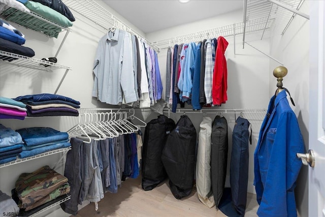 spacious closet with hardwood / wood-style floors