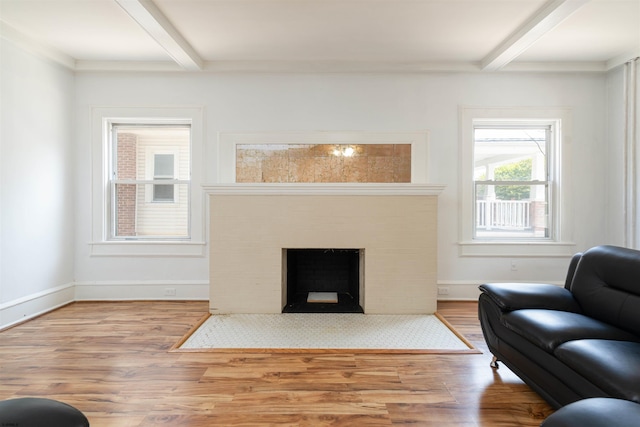 living room with beamed ceiling and wood-type flooring