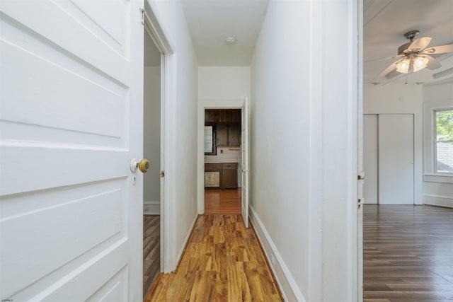 hallway featuring hardwood / wood-style floors