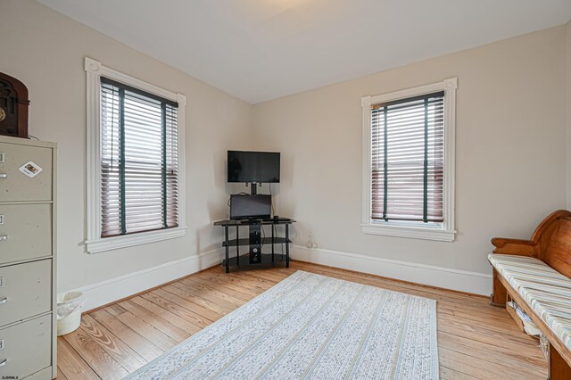 sitting room featuring a healthy amount of sunlight and light hardwood / wood-style floors