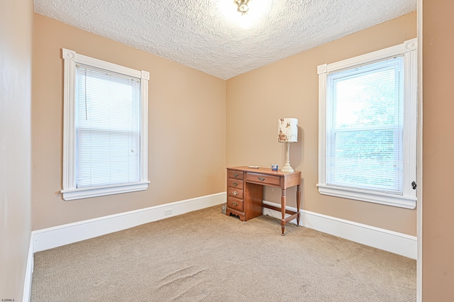 home office with a wealth of natural light, a textured ceiling, and light colored carpet