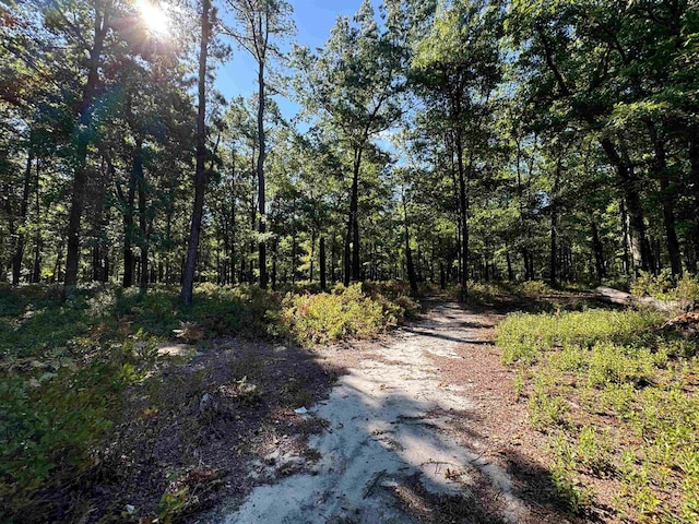 view of street featuring a wooded view