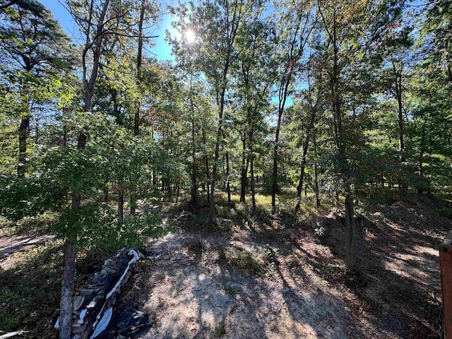 view of nature featuring a forest view