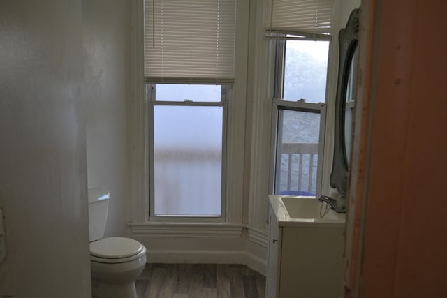 bathroom featuring vanity, toilet, and wood-type flooring