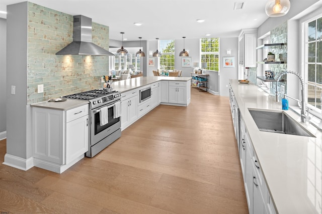 kitchen featuring light wood finished floors, wall chimney exhaust hood, appliances with stainless steel finishes, a sink, and backsplash