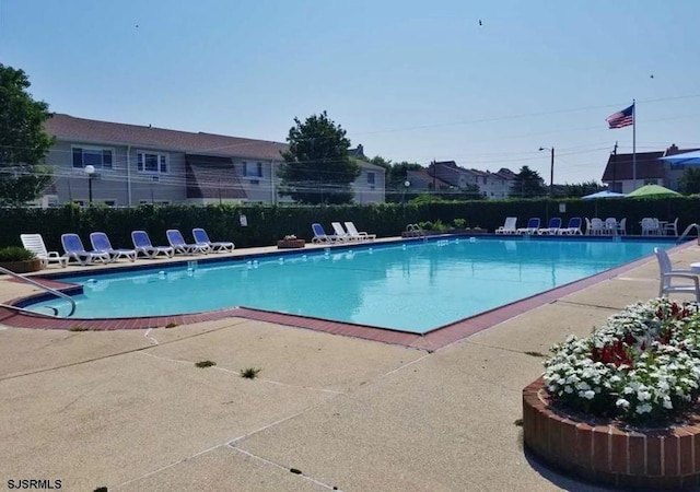 view of swimming pool with a patio area