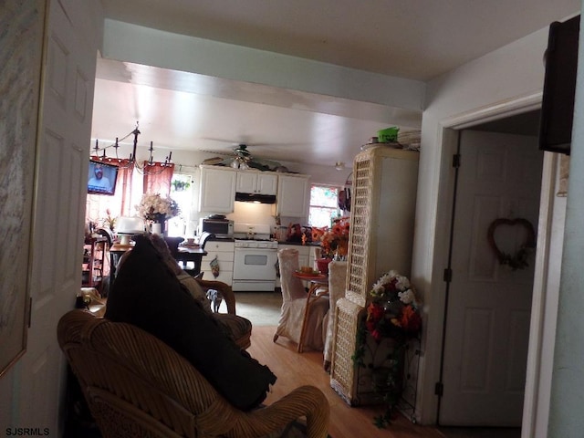 living room with ceiling fan and light wood-type flooring