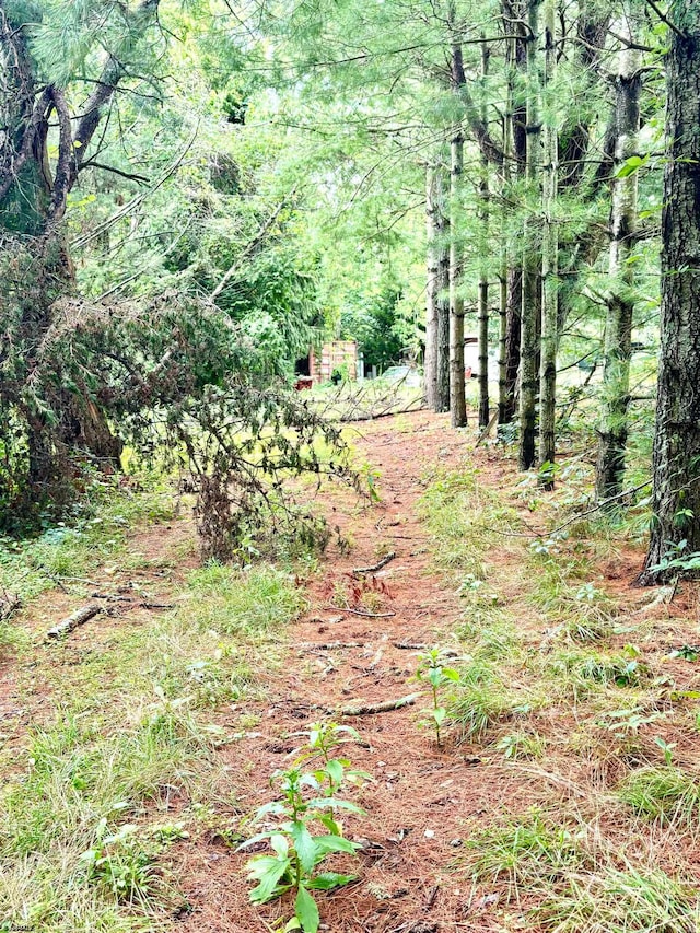 view of nature