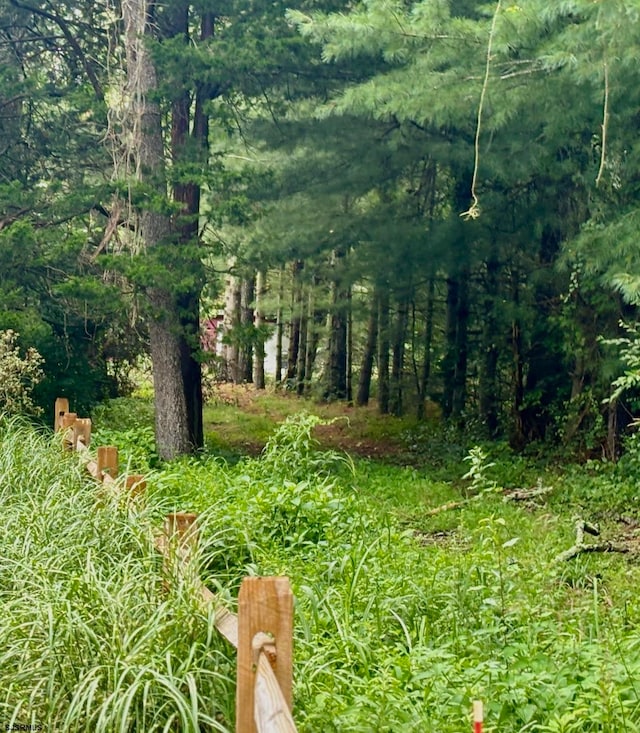 view of nature