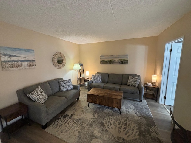 living room with hardwood / wood-style floors and a textured ceiling